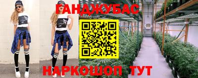 прущие грибы Сланцы