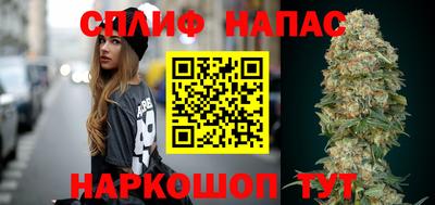 прущие грибы Сланцы
